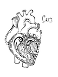 "My Heart Will Go On" Art Print